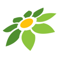 LINK VIRALBET